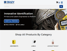 Tablet Screenshot of bradyid.com